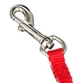 thumbnail image 4 of Hatfield Pet Specialty's Toy Leash for Dogs, Red, 4 of 5