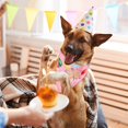 thumbnail image 3 of Feliz cumpleaños mascota cumpleaños bufanda triangular lavable mascota cumpleaños suave triángulo perro babero Rojo Verde Cocina, Decoración y Otros, 3 of 5