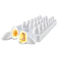 thumbnail image 5 of Chick Life Cycle Exploration Set, 5 of 6