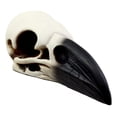 thumbnail image 5 of Ebros Edgar Poe Gothic Raven Skull Statue 7"Long Crow Scavenger Bird Ossuary Figurine Corvus Corax Fossil Sculptural, 5 of 5