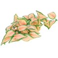 thumbnail image 4 of Simulación de plantas acuáticas, hojas de ratán, paisajismo para escalar, caja para mascotas, acuario, pecera, 4 of 13