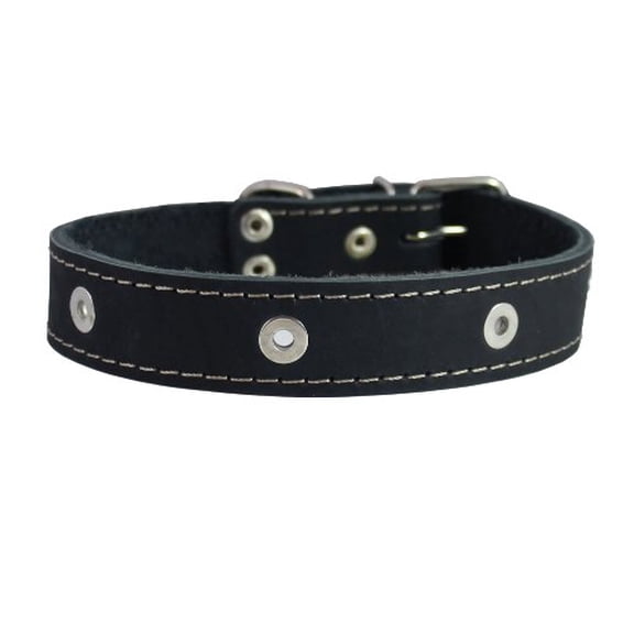 Genuine Leather Studded Dog Collar, Black, 1.5" Wide. Fits 16.5"-20" Neck Size Amstaff