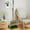 Green, variant on Summer Savings Clearance! InsCrazy Broom and Dustpan Set for Home for Home Dustpan Set Combo for Office Stand Up for Office, Home, Hotel, Bar, Kitchen, Lobby, Floor 35 inches