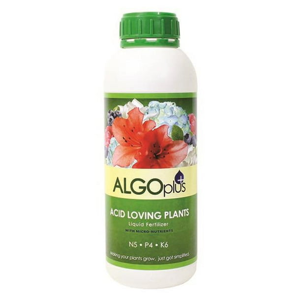 AlgoPlus 532 1 litre Acid Loving Plants Liquid Fertilizer ...