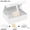 23cm White Set(S), variant on 3 Sizes Available Luxury Magnetic Gift Box With Lid Ribbon Lafite Grass Greeting Card Valentine's Day Gift Packaging Box