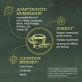 thumbnail image 5 of Sunwarrior Organic Be Well Matcha Mushroom Powder 90g Pouch (30 SRV), 5 of 8