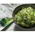 thumbnail image 4 of Organic Broccoli Sprouting Seeds, 1 Pound — Non GMO, Kosher, Sproutable, Raw, Vegan — by Food to Live, 4 of 6