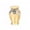 Golden, variant on ievspot Hair Ash Preservation Urn Aluminum Alloy Pet Urn Aluminum Alloy Pet Ash Urn Angel Wing Keepsake Jar Waterproof Dust-proof Cremation Urn for Cats Dogs