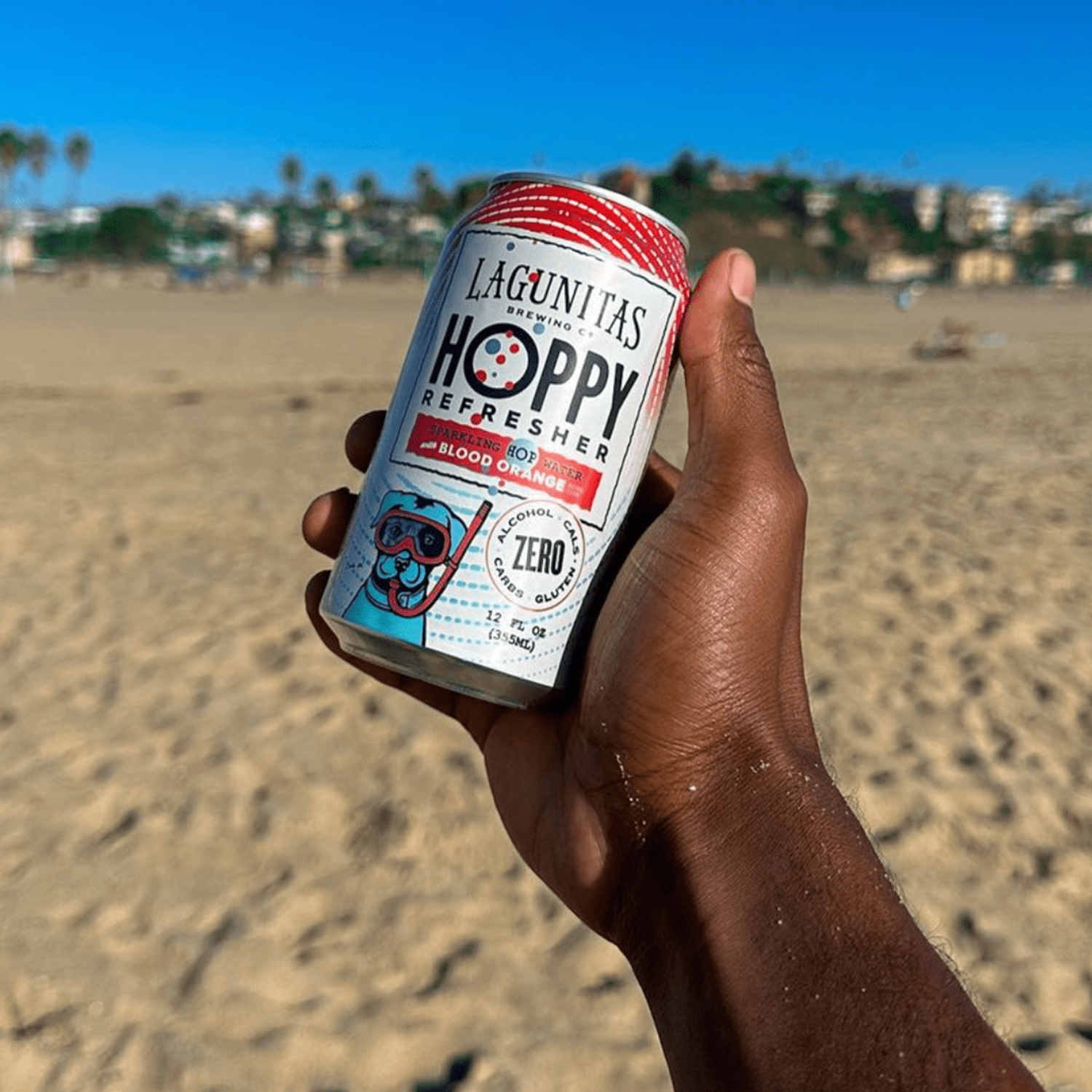 Lagunitas Hoppy Refresher, Berry lemon Non-Alcoholic Hop Water Drink | Refreshing Alcoholic Brew Substitute | 12oz Cans, 0.0% ABV