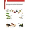 thumbnail image 3 of Dictionnaire Visuel Intermédiaire de Merriam-Webster, Nouveau Titre, 2020 Copyright, 3 of 3