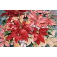 thumbnail image 2 of McKenna, Kathleen Parr 18x13 Black Ornate Wood Framed with Double Matting Museum Art Print Titled - Poinsettia, 2 of 4