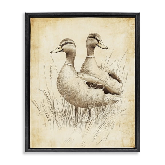Stupell Industries Traditional Vintage Pair of Ducks Black Floating Frame Canvas Art, 17 x 21, by Petals Prints Design