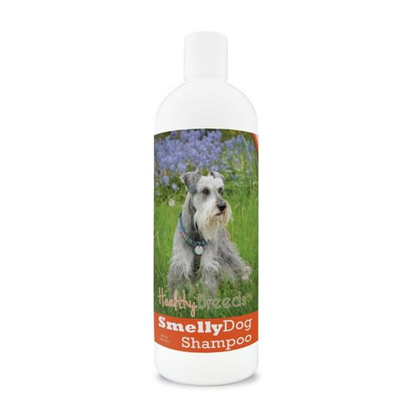 Miniature Schnauzer Smelly Dog Baking Soda Shampoo