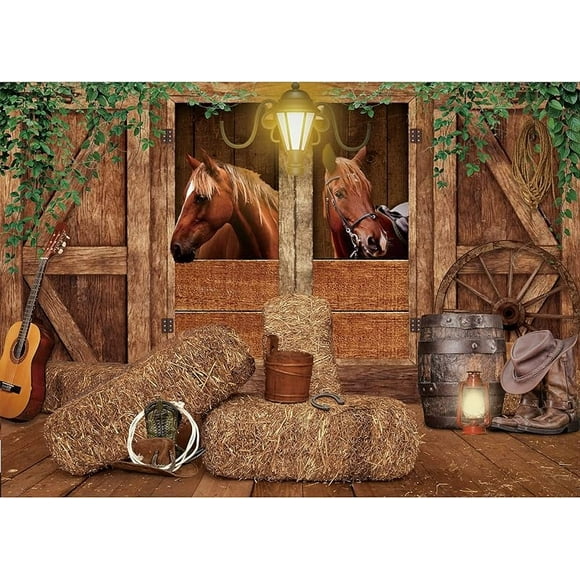 Cowgirl Western Birthday Backdrop Rustic Country Boho Wooden Plank Pink Flower Happy Birthday Baby Shower Wood Hat Retro Decorations Photography Background Banner Photo Booth Studio