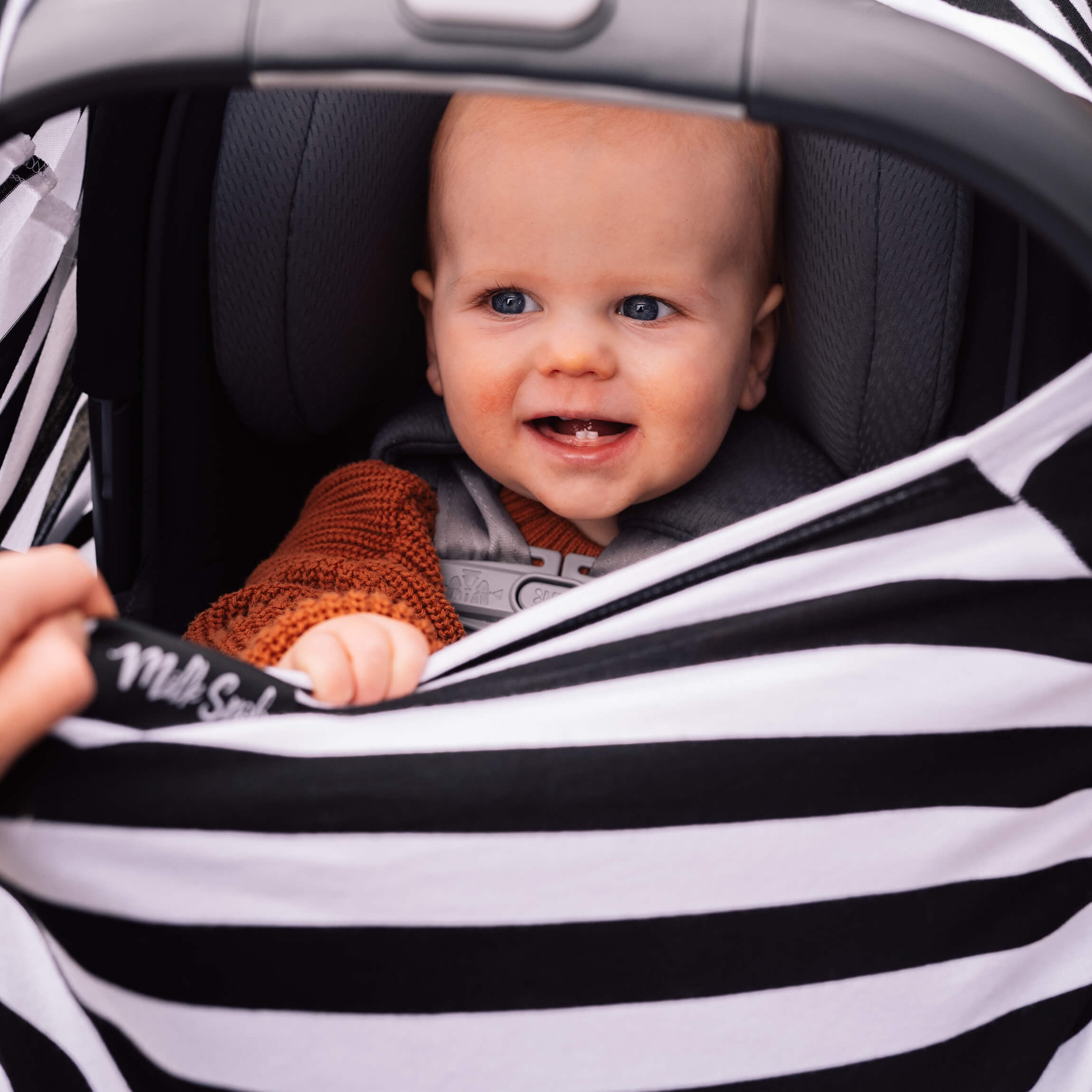 B&W Signature Stripe 5-in-1 Nursing and Car Seat Cover