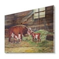 thumbnail image 2 of Designart 'Newborn Twin Calves With Cow At The Farm' Farmhouse Print on Natural Pine Wood, 2 of 5