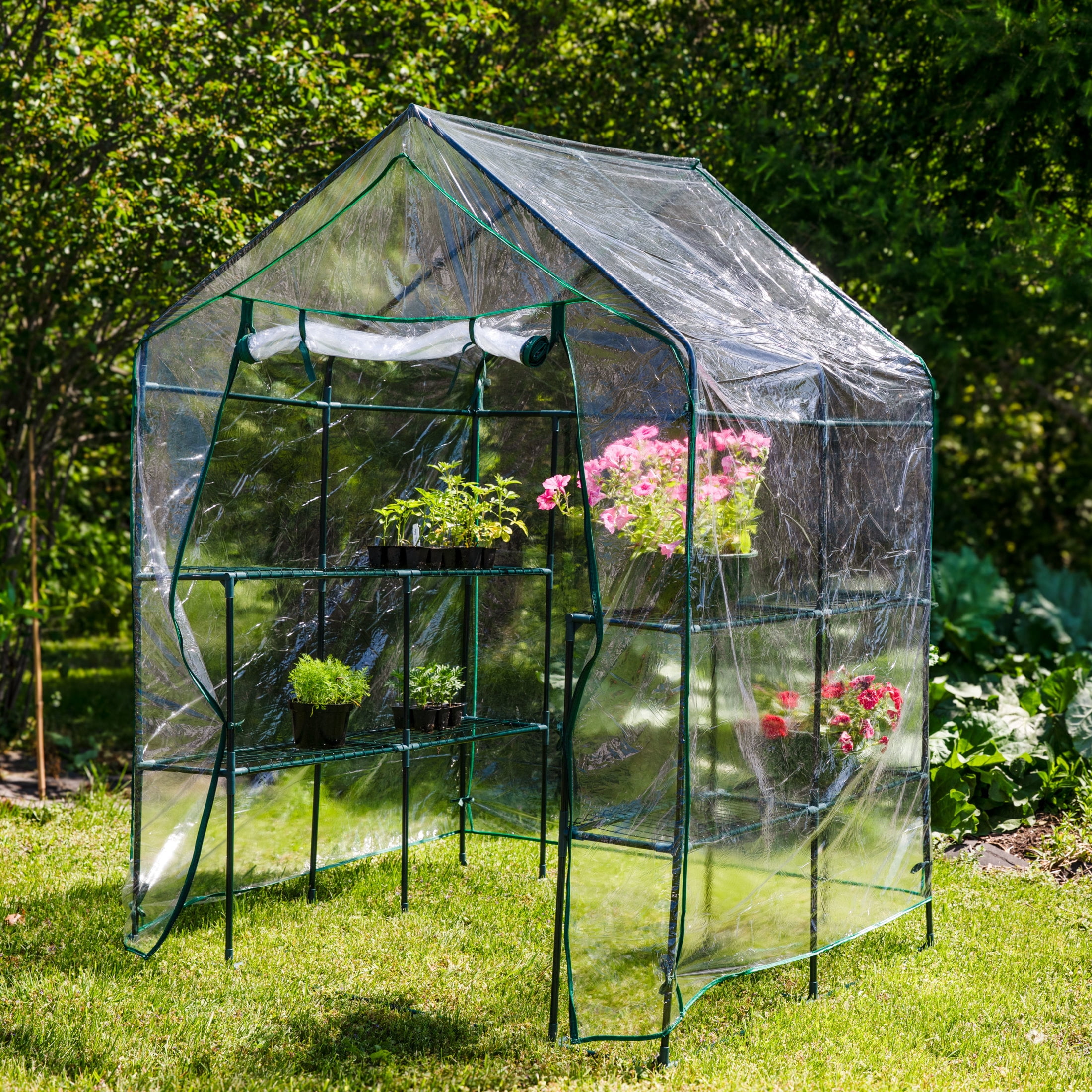Sunnydaze 4.5' x 4.5' x 6.5' Outdoor Portable Walk-In Greenhouse with 4 Shelves, Clear Cover