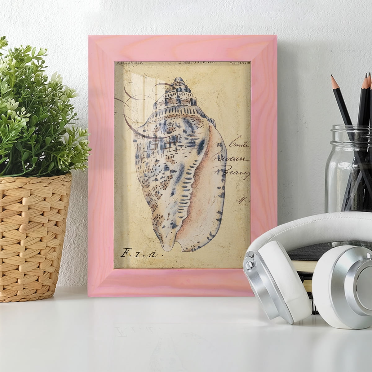 Seashell Ephemera I - Framed Print w/glass - Sunset Pink