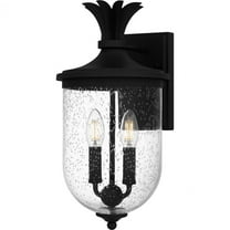 Quoizel Havana 2-Light Earth Black Outdoor Wall Lantern