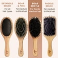 thumbnail image 4 of Cepillo de pelo Beauty de Earth Boar Bristle para mujeres y hombres, 4 of 8