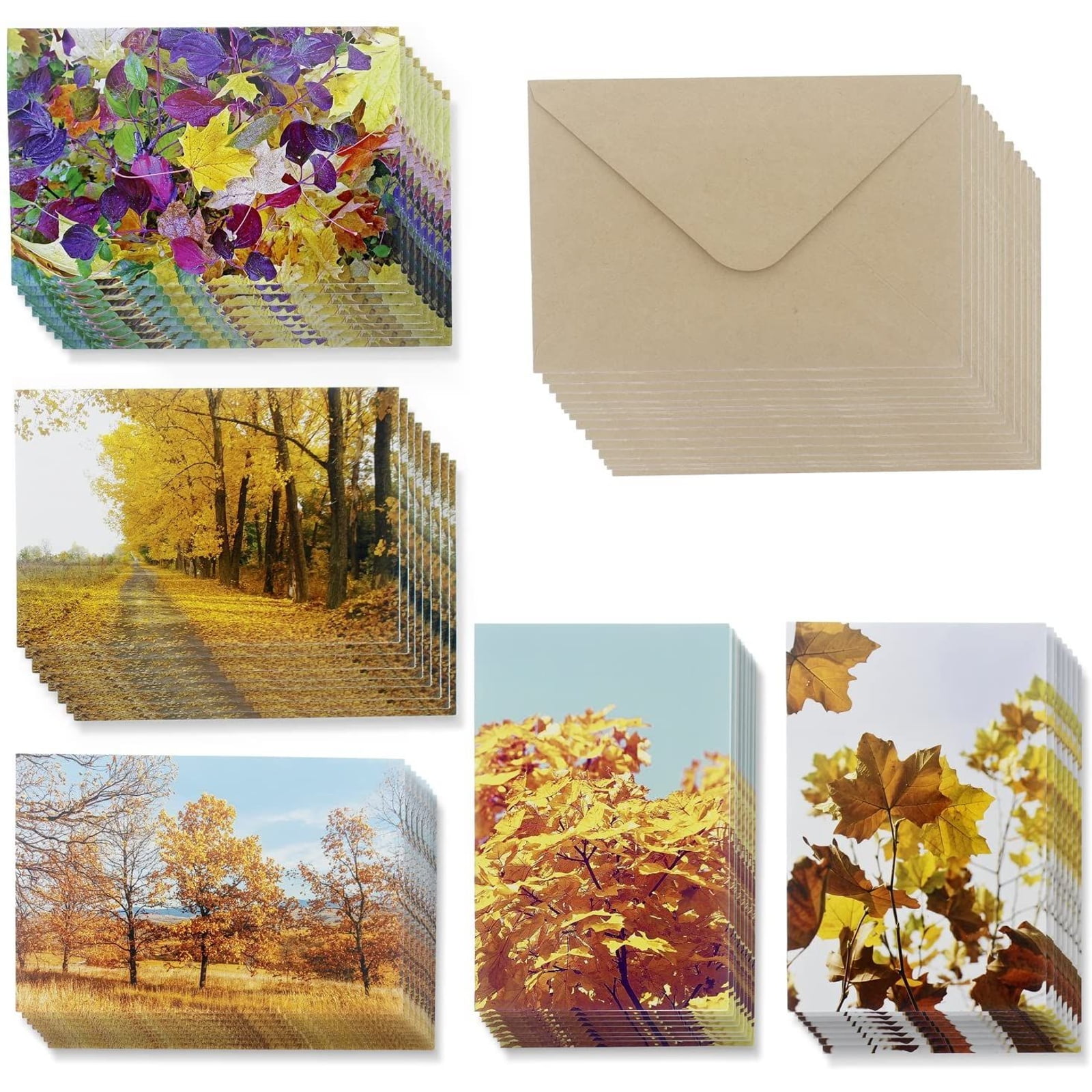 48 Pack All Occasion Greeting Cards Assorted Blank Note Cards Bulk Box Set Cosmic Designs Envelopes Included 4 x 6 Inches 