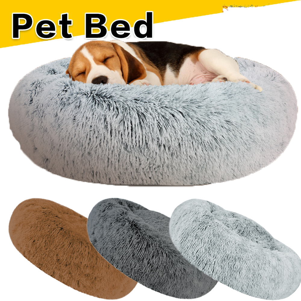 comfy calming bed