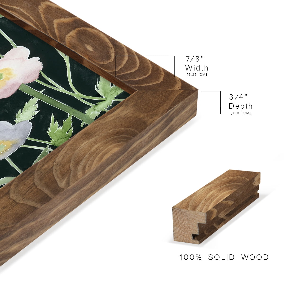 Anemone Dance II -Framed Print w/glass-Walnut