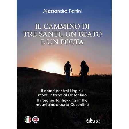 In cammino con tre santi un beato e un poeta. Itinerari per Francesca Maria Farn (Paperback)