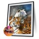 thumbnail image 3 of Cuadros Decorativos Kit de pintura de diamantes de imitación para manualidades regalo de dibujo de diamante cuadrado completo de caballo de tigre cachorro JShteea Nuevos Originales, 3 of 9