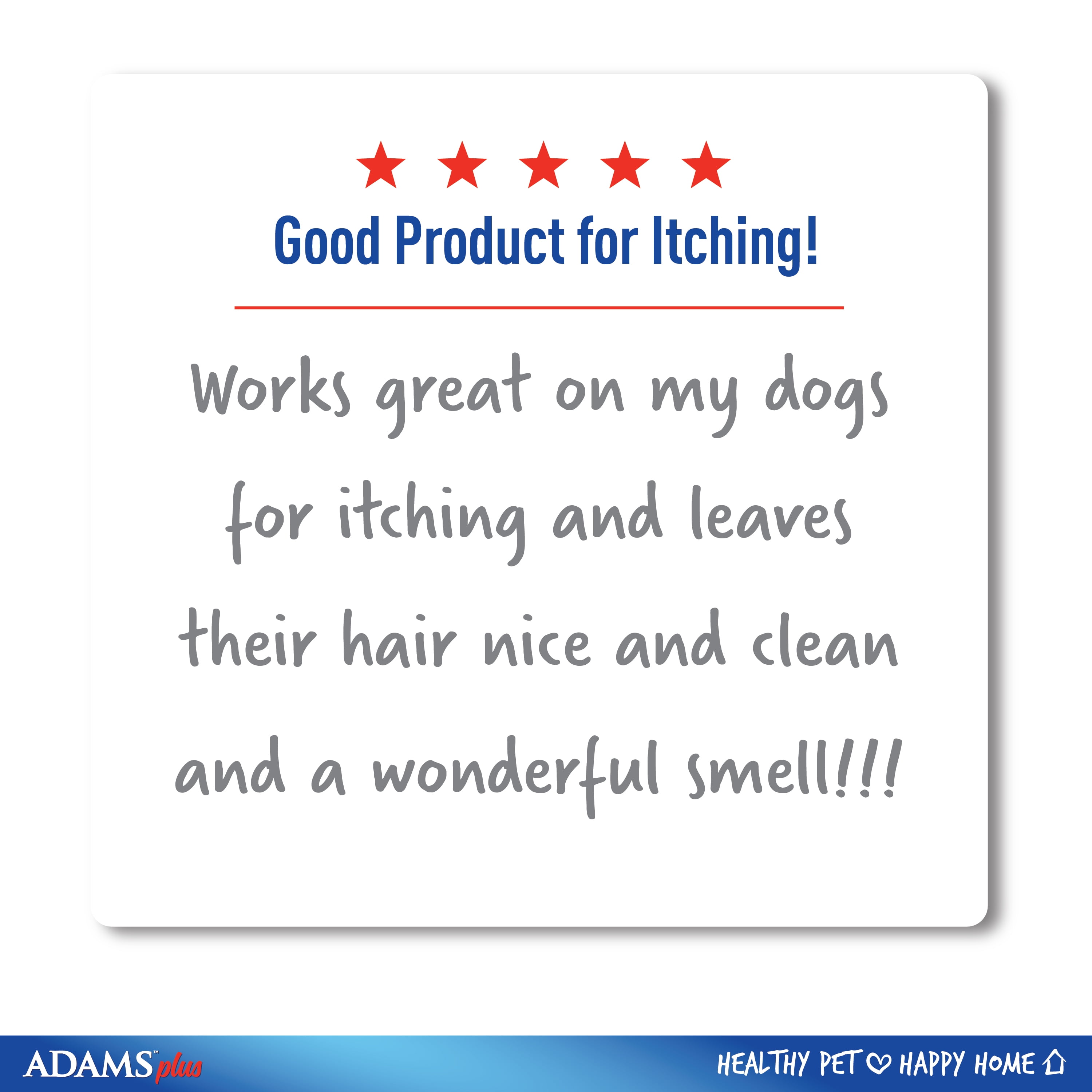 Adams Medicated Shampoo Conditioner for Dogs 12 Ounces Walmart