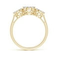 thumbnail image 2 of ANGARA Natural 0.31 Ct. Diamond Side Stone Ring in 14K Yellow Gold for Women (Ring Size: 11.5), 2 of 9
