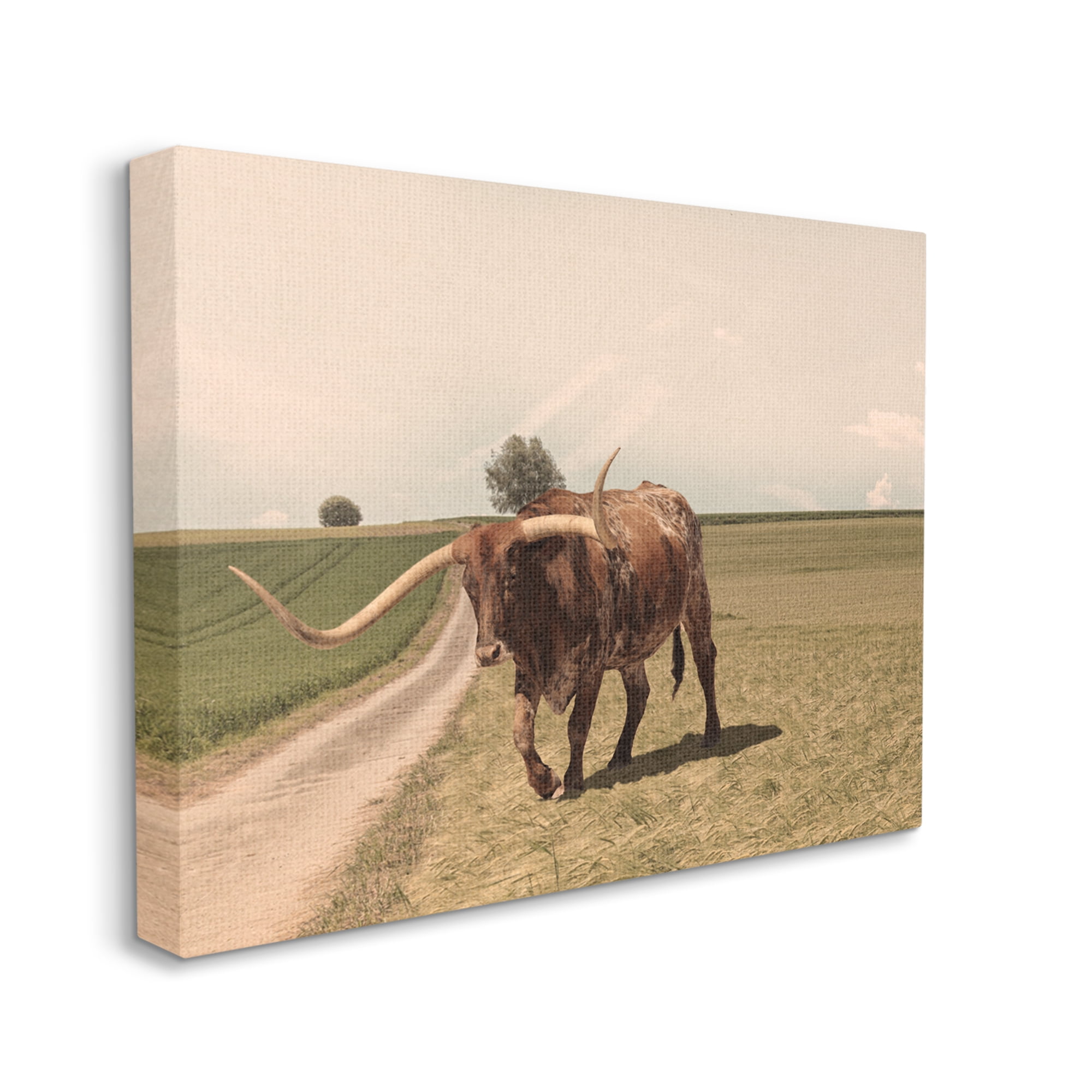 Stupell Industries Longhorn Cattle Grazing Scenic Countryside Landscape Photograph Gallery Wrapped Canvas Print Wall Art, Design by Marcus Prime