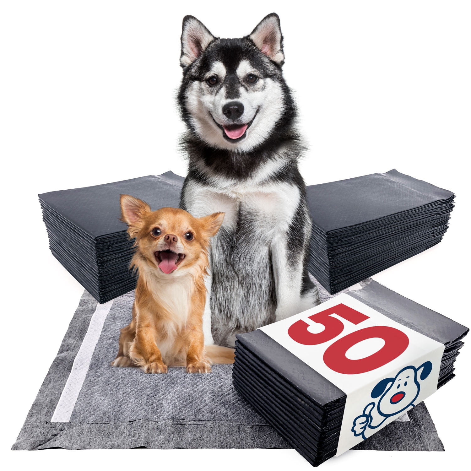 house training pads