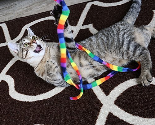 cat dancer products rainbow cat charmer