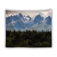 thumbnail image 1 of Tapestry, bosque, nieve y montaña, microtela, 150 x 150 cm, 1 of 2