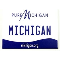 Michigan License Plate Fridge collector's Souvenir Magnet 2.5" x 3.5"
