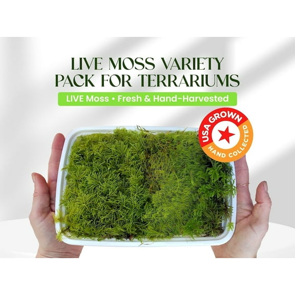 Live Moss Variety Pack for Terrariums – Fresh Live Moss – Natural Green Moss – Pet-Safe Moss for Reptile Tanks, Fairy Gardens, and Indoor Décor