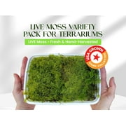 Live Moss Variety Pack for Terrariums – Fresh Live Moss – Natural Green Moss – Pet-Safe Moss for Reptile Tanks, Fairy Gardens, and Indoor Décor