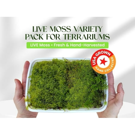Live Moss Variety Pack for Terrariums – Fresh Live Moss – Natural Green Moss – Pet-Safe Moss for Reptile Tanks, Fairy Gardens, and Indoor Décor