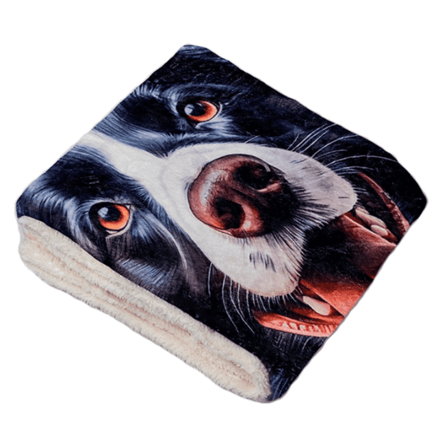 Pets, Paws and Ideas Couverture Imperméable pour Animaux de Compagnie Chiens et Chats, Protecteur de Meubles Réversible, Lit et Canapé, Anti-Éclaboussures, Lavable, Housse en Flanelle Douce Sherpa Design Boxeur