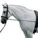 thumbnail image 2 of Camilla de Cuello Ajustable con Hebillas de Plástico Duraderas Suministros Ecuestres 10 Pies, 2 of 9