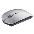 thumbnail image 1 of Souris Sans Fil avec Bluetooth Silencieuse, Souris d'Ordinateur Mince Rechargeable pour Windows Notebook, Mac Ordinateur Portable Gris Spatial, 1 of 8