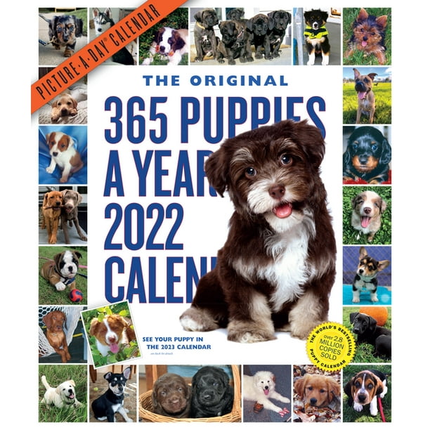 365-puppies-a-year-picture-a-day-wall-calendar-2022-the-most-adorable-irresistible-puppies