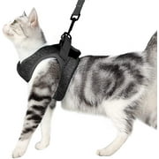Escape Proof Cat Harness and Leash - Adjustable Vest Harness and Leash for Walking - Breathable Mesh - Suitable For Collapsible Bags With Cationic Fabrics
