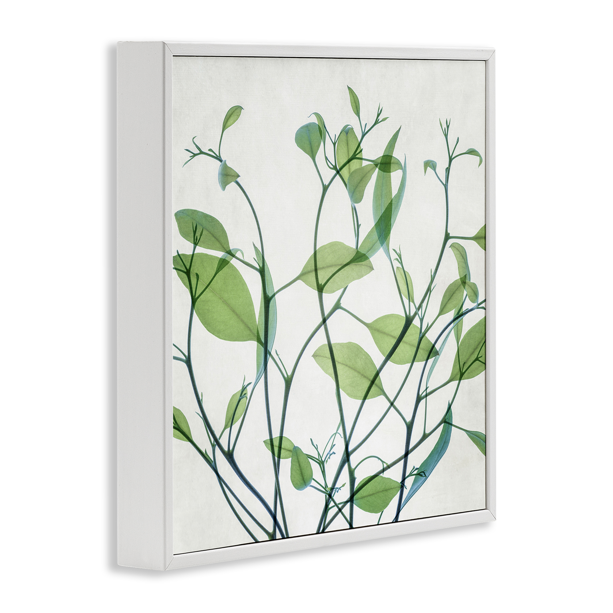 Stupell Industries Twisting Green Vines Botanical & Floral Painting White Framed Art Print Wall Art, 12 x 12