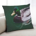 thumbnail image 1 of Ahgly Company Animals Duck Indoor Throw Pillow, 18 inch by 18 inch, 1 of 6