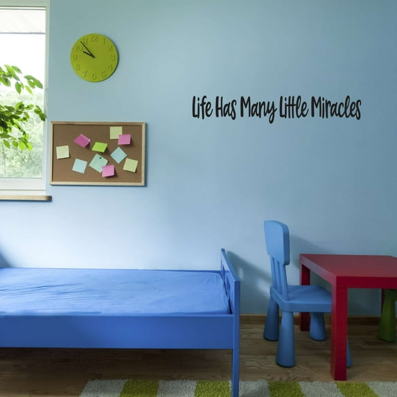 Spder Fly Beetle Bee Mosquito Snall Life Has Many Little Miracles Math Science Reading Doctor Nurse Rn Hospital Human Being Individual Soul Mortal Decorating Wall Decal Sticker - Size: 30 In X 6 In