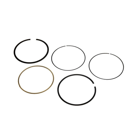 GM Genuine Parts 19168090 Engine Piston Ring Kit