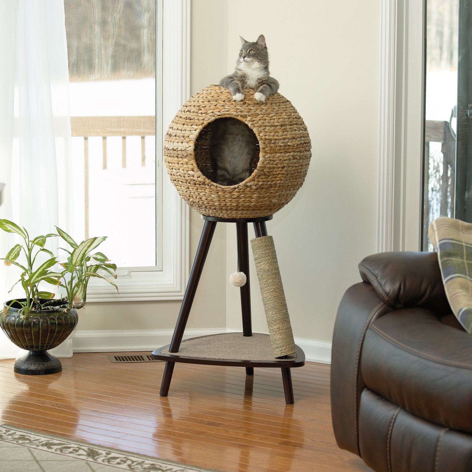 Sauder Woodworking Natural Sphere 43 7 In Cat Tree Com
