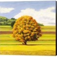 thumbnail image 1 of Pianure Serene I (detail) by Angelo Masera, Canvas Wall Art, 24W x 24H, 1 of 2